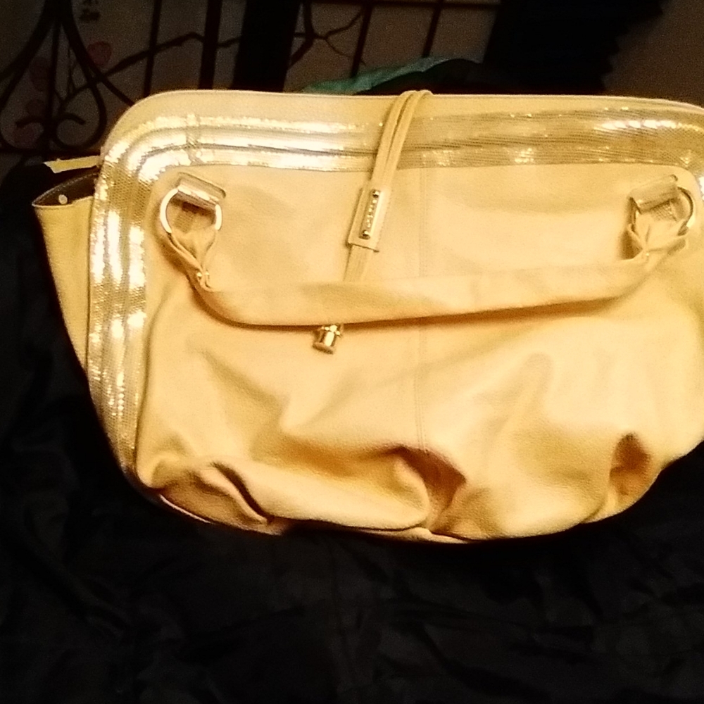 Gold Handbag